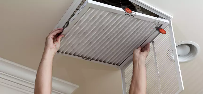Preventive Cockroach-Proofing for Ducts in South Whittier