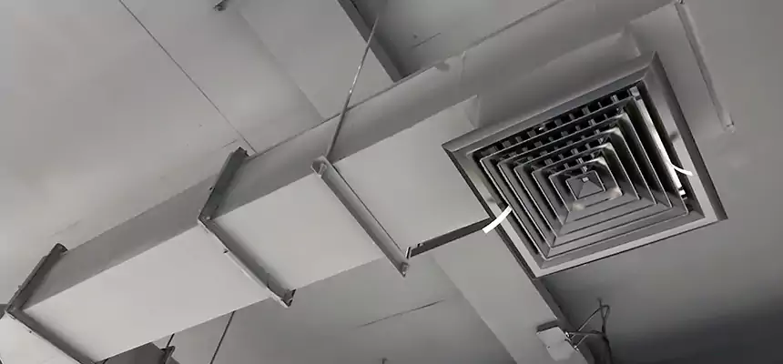 Our Rodent Droppings In Vents Services in South Whittier, CA