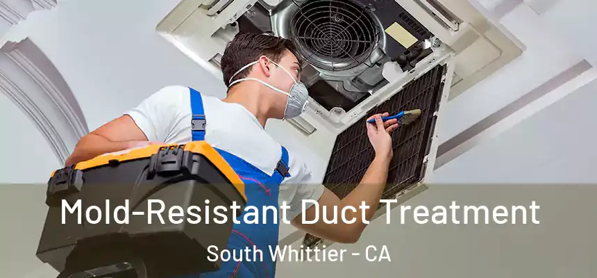 Mold-Resistant Duct Treatment South Whittier - CA