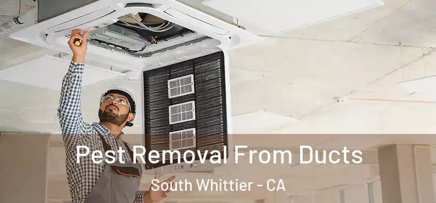  Pest Removal From Ducts South Whittier - CA