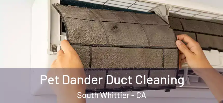 Pet Dander Duct Cleaning South Whittier - CA