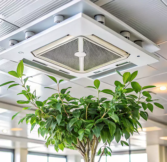 Why Homeowners & Businesses Trust Us in South Whittier, CA?