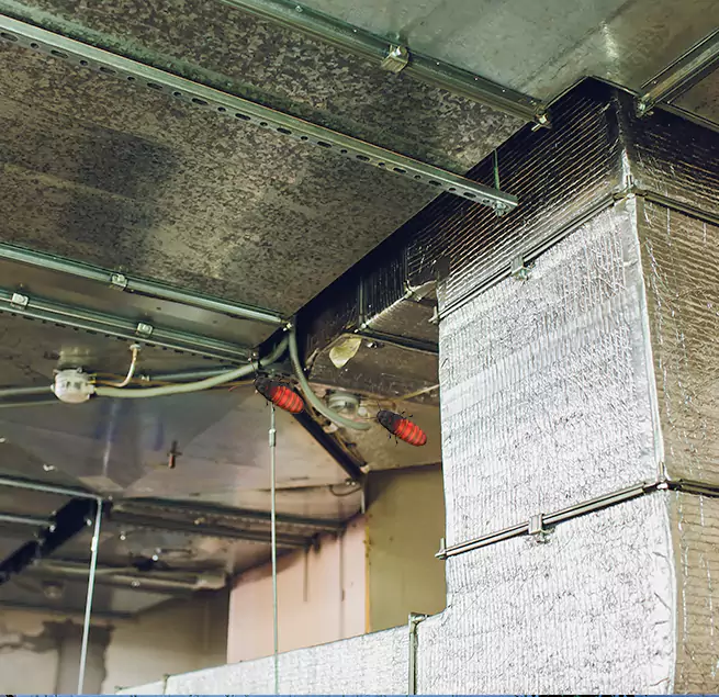 Why Homeowners & Businesses Trust Us South Whittier, CA?