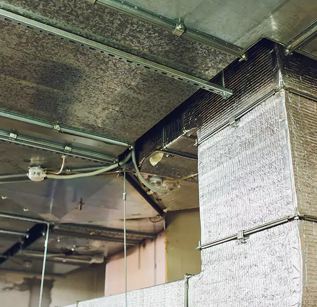 Why Homeowners & Businesses Trust Us in South Whittier, CA?