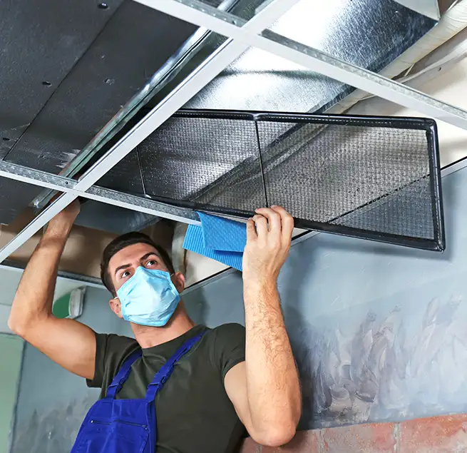 Why Homeowners & Businesses Trust Us in South Whittier, CA?